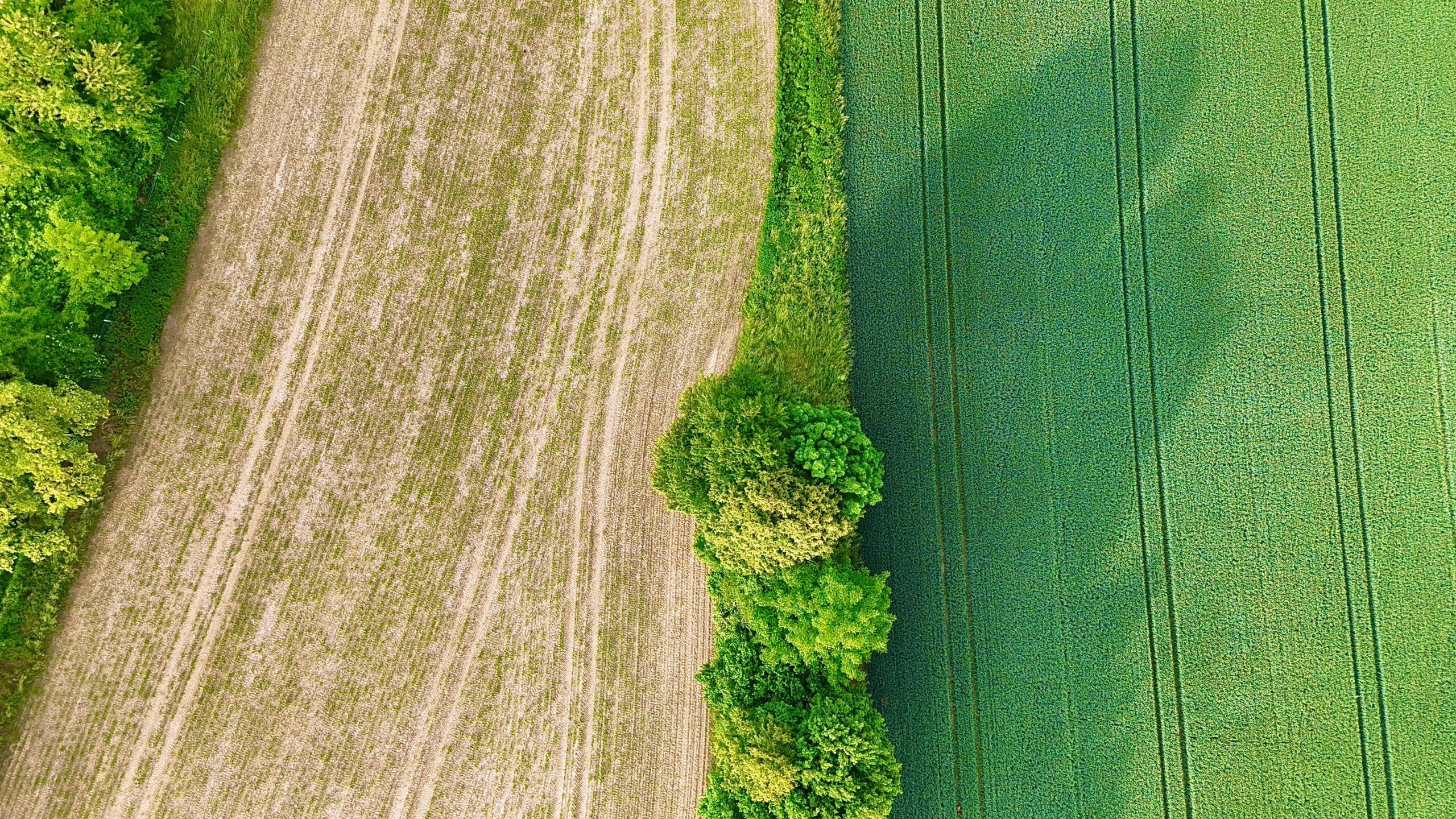 Building Services & Sustainability