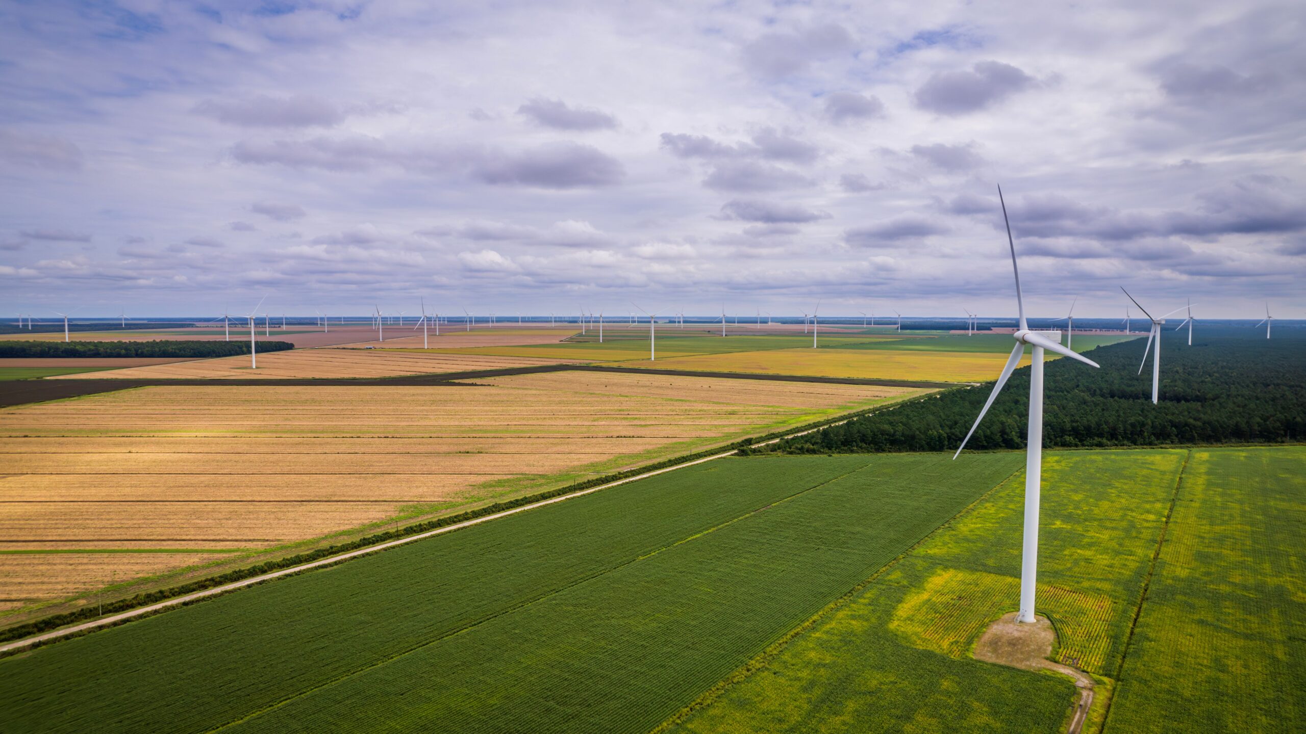 Environmental Impact Assessments