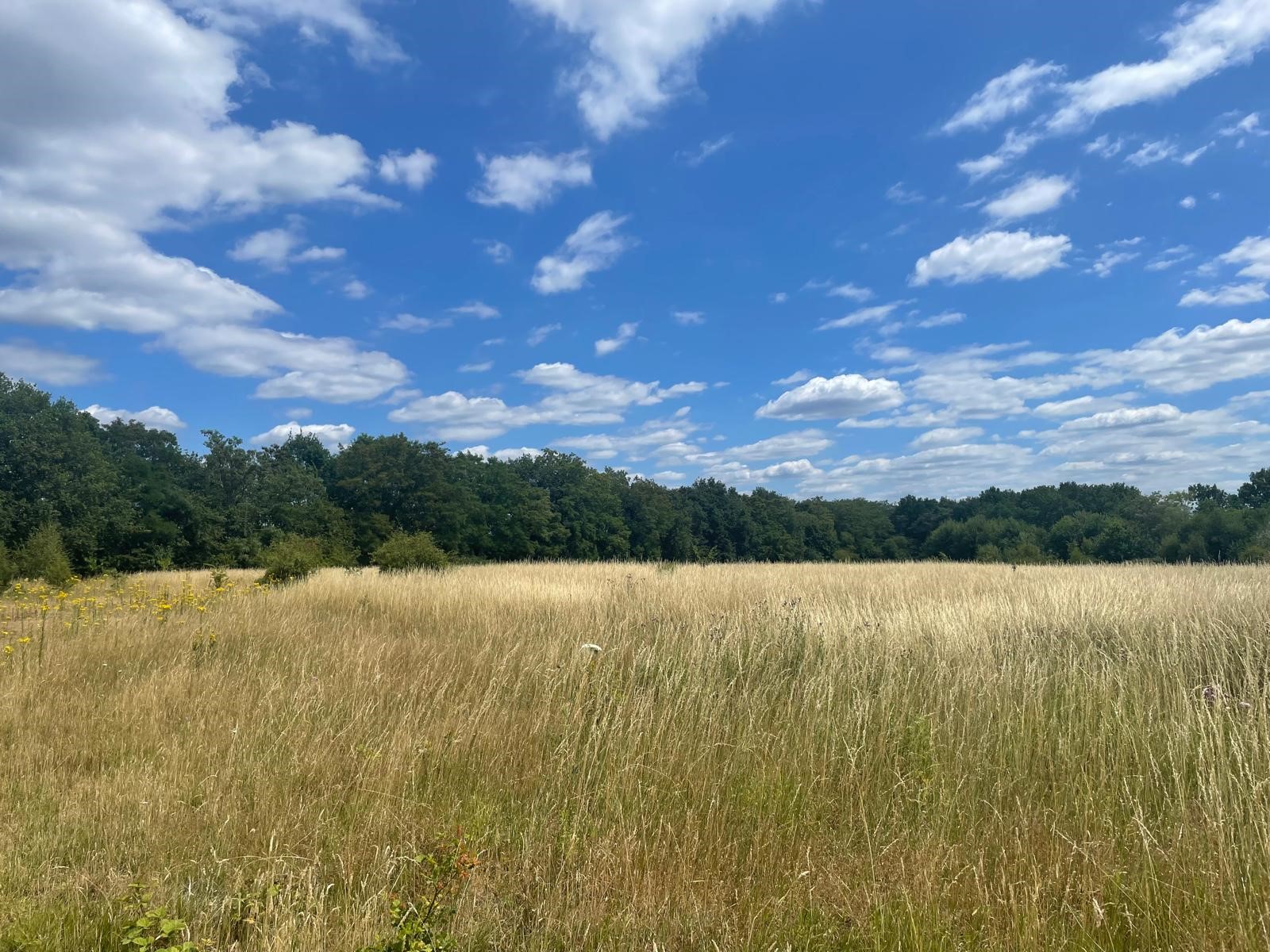 Valuation, Green Lane, Chertsey