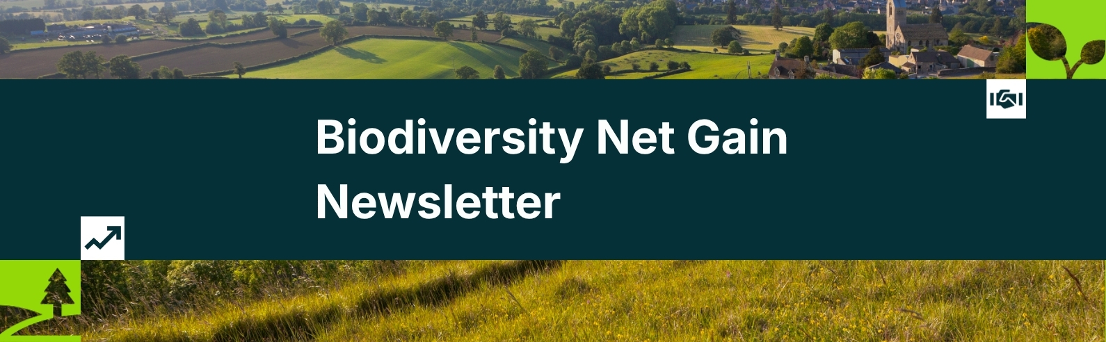 Biodiversity Net Gain Newsletter