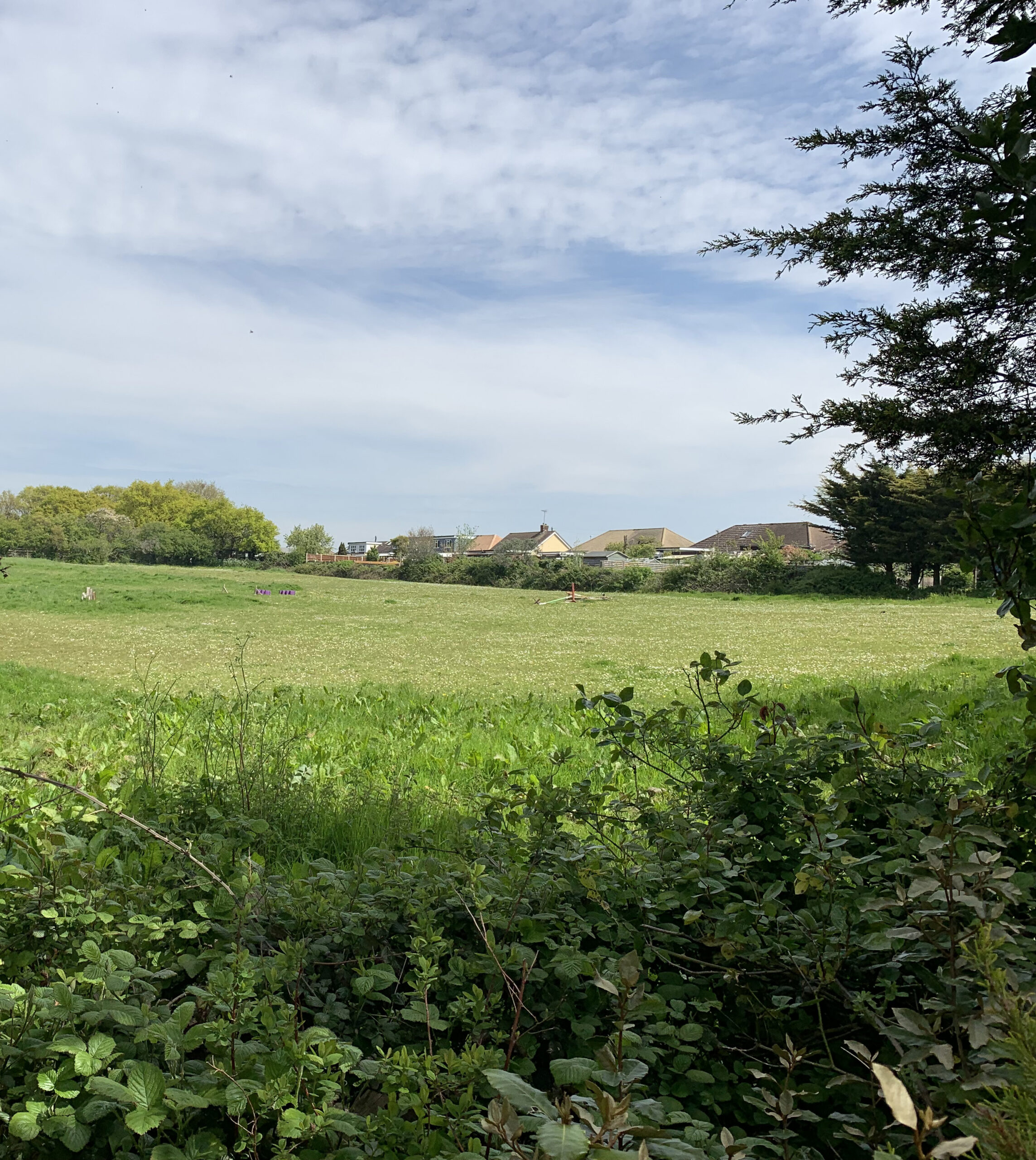 Freehold Land for Sale - Development Opportunity, Upsons Fields - Rapleys